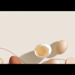 high protein grocery list best foods for weight l 2026 03 12 162524 1